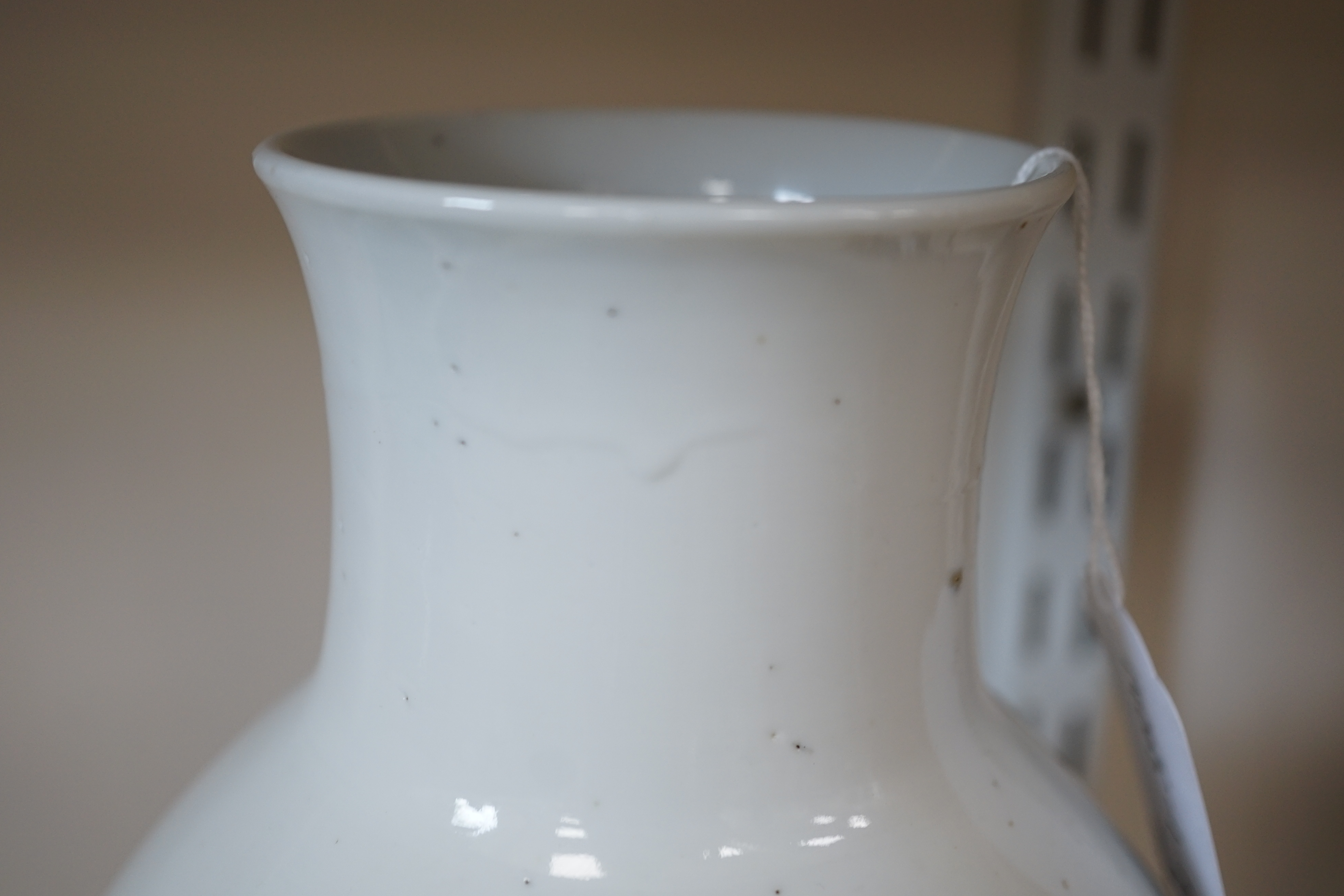 A large Chinese blue and white ovoid vase, early 20th century, firing crack